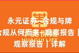 永元证券—合规与牌照—合规从何而来—观察报告｜详解