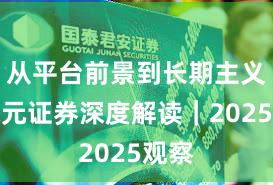 从平台前景到长期主义：永元证券深度解读｜2025观察