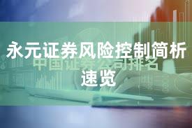 永元证券风险控制简析 速览