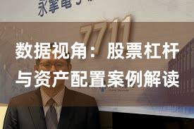 数据视角：股票杠杆与资产配置案例解读